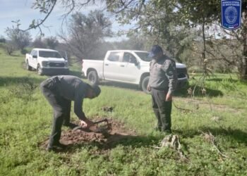 Realiza Fiscalía operativo de búsqueda en predio de Casas Grandes Realiza Fiscalía operativo de búsqueda en predio de Casas Grandes