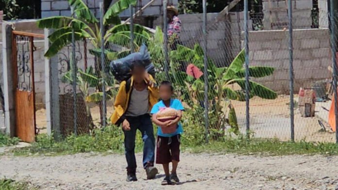 Retiro de fuerzas de seguridad provoca éxodo de familias en la sierra de Chilpancingo