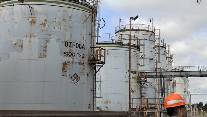 Sener abre la puerta a la producción y venta de biocombustibles en México