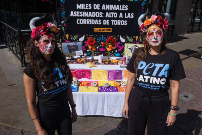 Tijuana da un paso histórico para los animales al poner fin definitivo a las corridas de toros