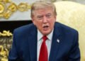 Trump arremete contra periodista de CNN y le exige que se calle durante evento en la Casa Blanca Trump arremete contra periodista de CNN y le exige que se calle durante evento en la Casa Blanca