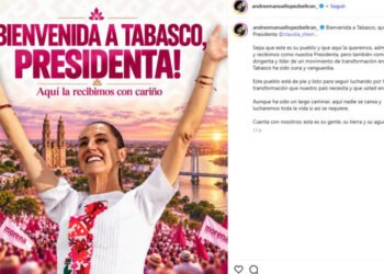 Andy López Beltrán da la bienvenida a Sheinbaum, pero ella descarta reunirse con él Andy López Beltrán da la bienvenida a Sheinbaum, pero ella descarta reunirse con él