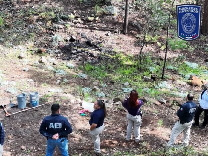 Localizan restos óseos y casquillos en brecha de Madera
