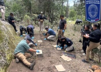 Localizan restos óseos y casquillos en brecha de Madera Localizan restos óseos y casquillos en brecha de Madera