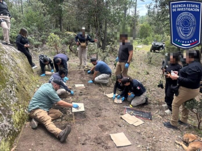 Localizan restos óseos y casquillos en brecha de Madera