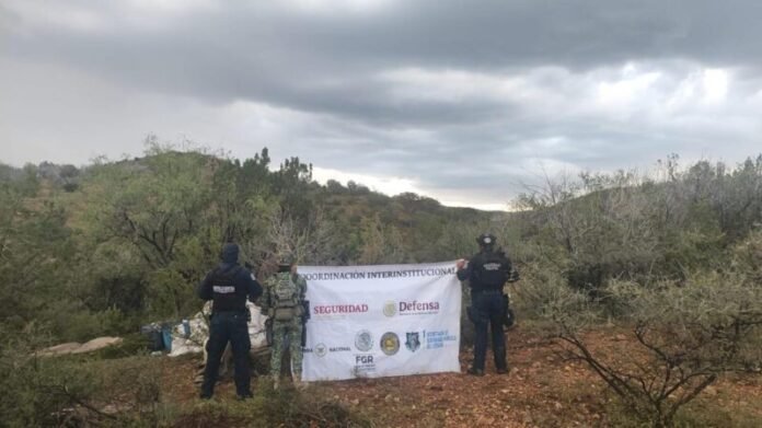 Aseguran precursores químicos en Parral