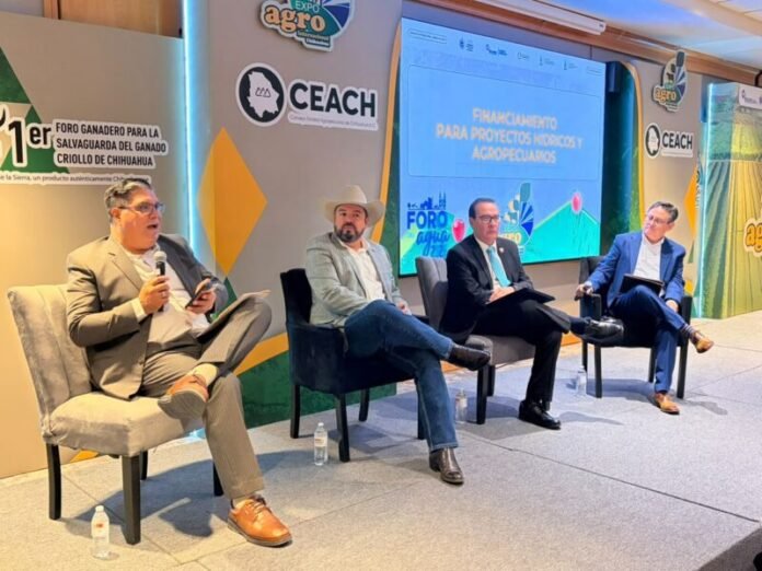 Financiamiento, pieza clave para convertir proyectos hídricos y agropecuarios en realidad