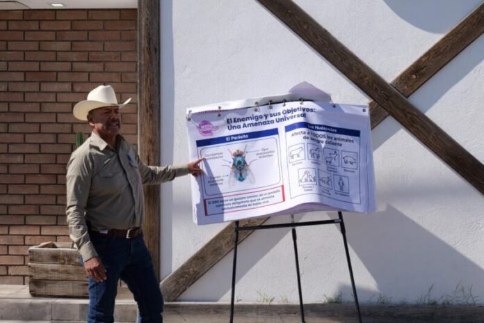 Entregan kits preventivos contra gusano barrenador en Camargo