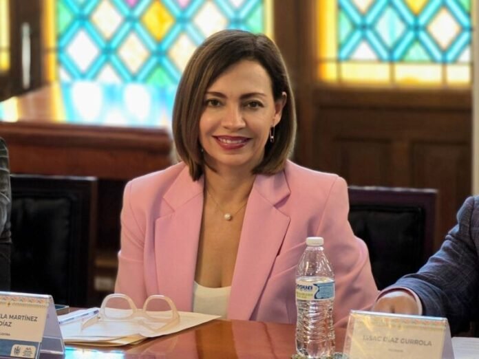 Llama Isela Martínez a aplicar con congruencia las reglas sobre intervención extranjera en elecciones