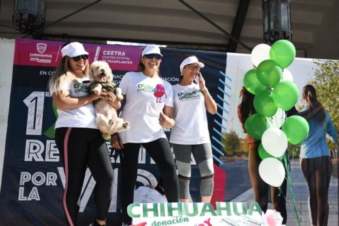 Invita Secretaría de Salud a caminata “Por Amor a la Vida 2026” para fomentar la donación de órganos
