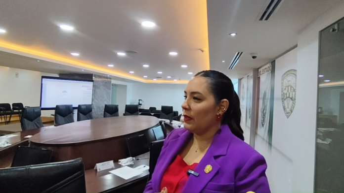 Morena busca demostrar fuerza política en gira de la presidente: Vega