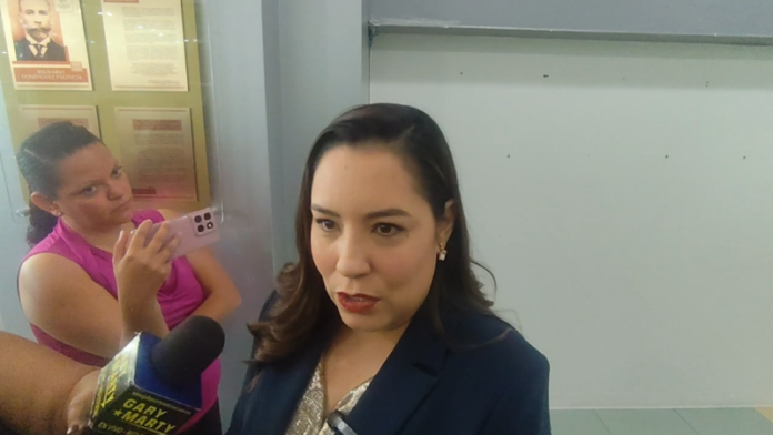 PT esta ejerciendo presión para imponer candidato: Vega