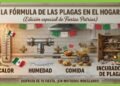 Se espera disparo de plagas con lluvia y fiestas patrias Se espera disparo de plagas con lluvia y fiestas patrias