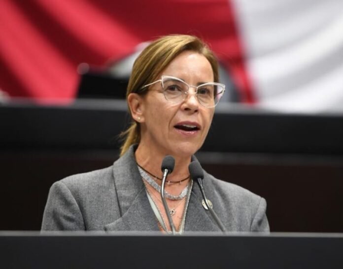 Intervendrán fuerzas armadas en inversiones extranjeras: advierte Manque incertidumbre y menos empleos