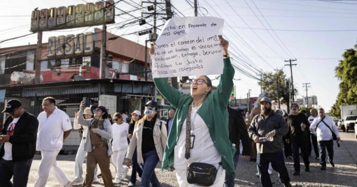 IMSS revela cuánto ganan médicos, enfermeras y hasta pianistas en México
