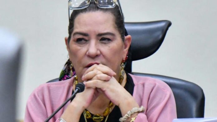 Guadalupe Taddei desata polémica por vestido Emilio Pucci valuado en más de 40 mil pesos