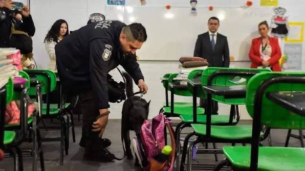 CNDH niega haber frenado el operativo mochila