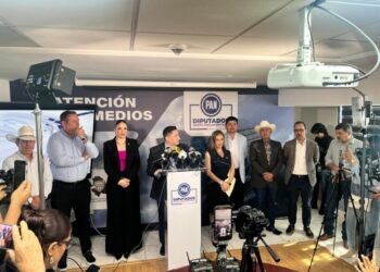 PAN presentará nueva iniciativa tras fallo de la Corte: «Chihuahua no va a ser Sinaloa» PAN presentará nueva iniciativa tras fallo de la Corte: «Chihuahua no va a ser Sinaloa»
