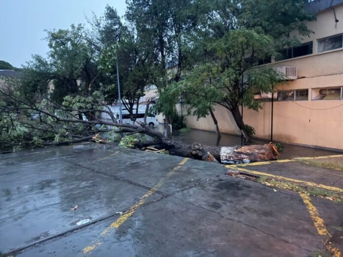 Atiende UACH daños por lluvias en facultades