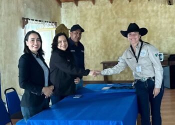 Certifican a 25 guías de turistas en Creel tras concluir diplomado Certifican a 25 guías de turistas en Creel tras concluir diplomado