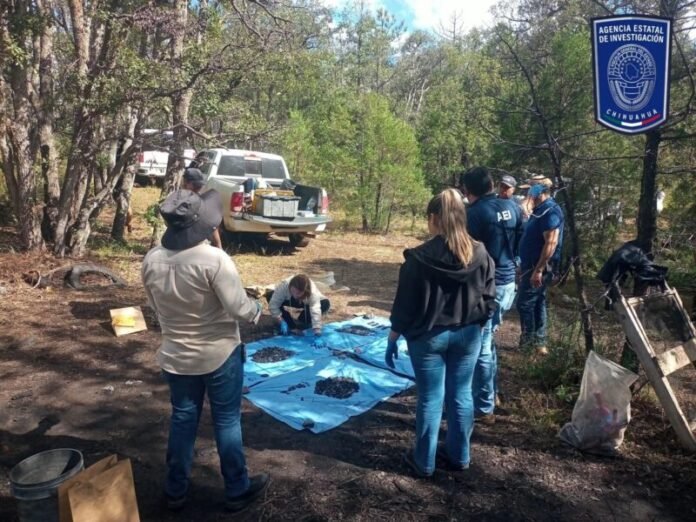 Hallan fragmentos óseos y casquillos durante rastreo en Madera